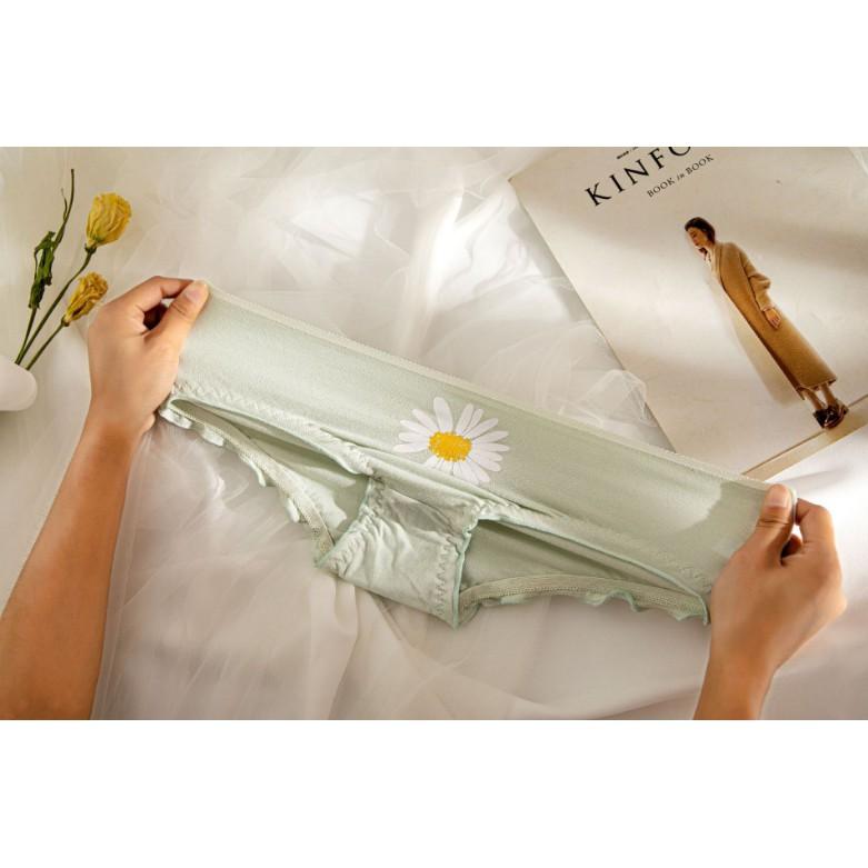Quần Lót Nữ Cotton Cúc Họa Mi Xuất Nhật Hàng Loại Đẹp.