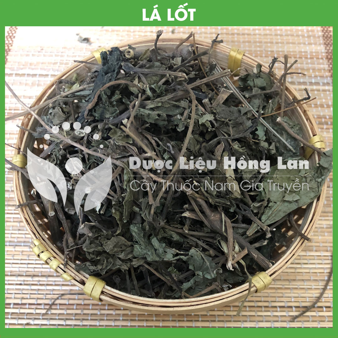 Lá Lốt khô sạch đóng gói 500gram