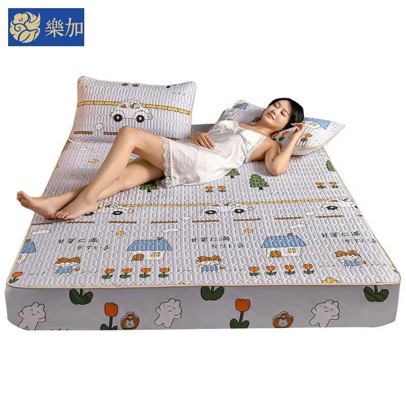 Set ga gối điều hoà bo chun mẫu 2021