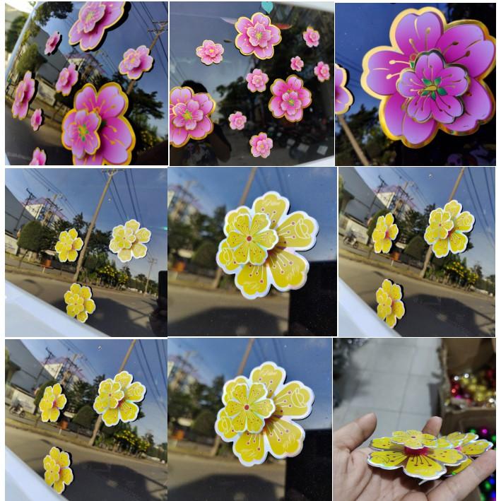 Set Hoa đào mai 3D lập thể trang trí tết dán bằng keo hai mặt
