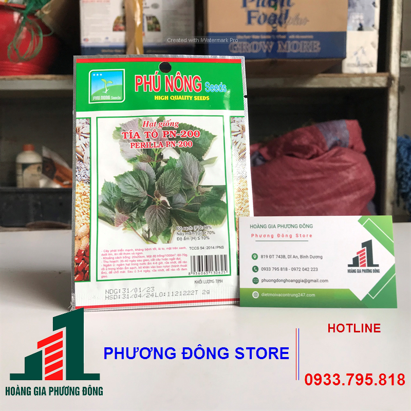 Combo 5-10 gói hạt giống rau tía tô PN-200 lá to , kháng bệnh tốt