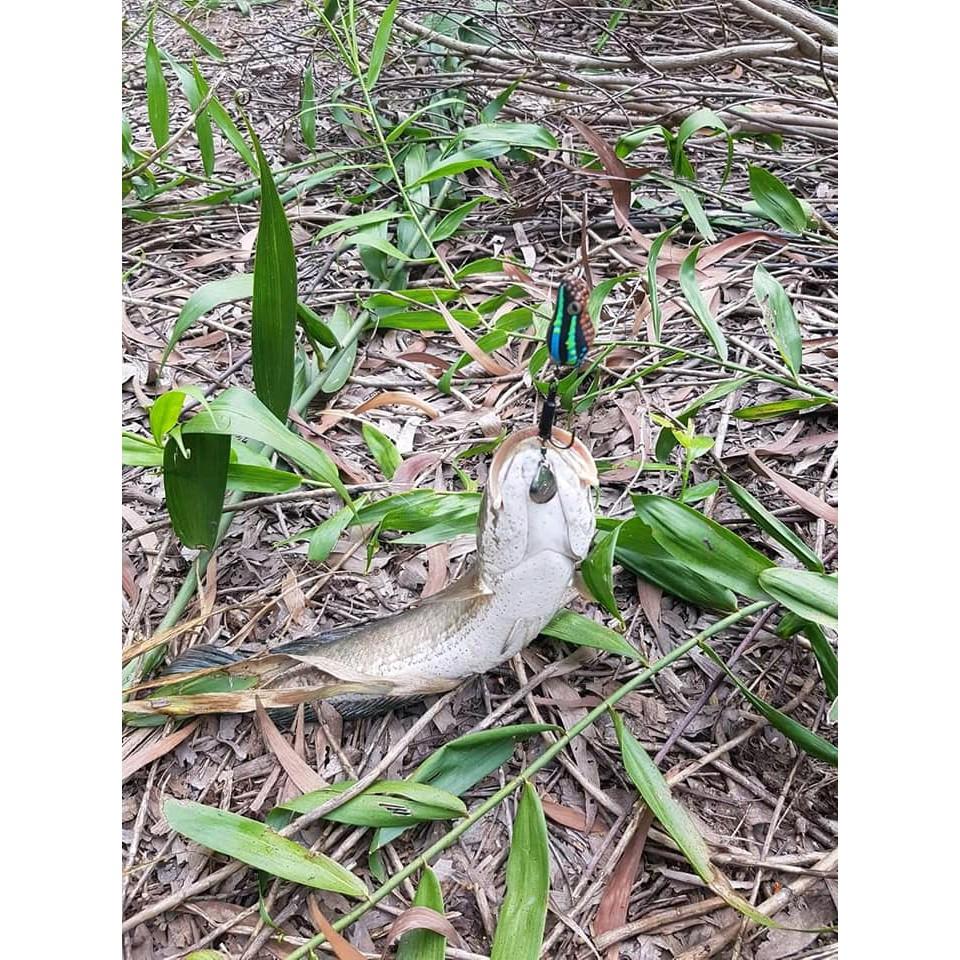 NHÁI HƠI POISON - mồi giả Thái Lan câu lure cá lóc giá rẻ siêu nhạy - 3.5CM/8GR