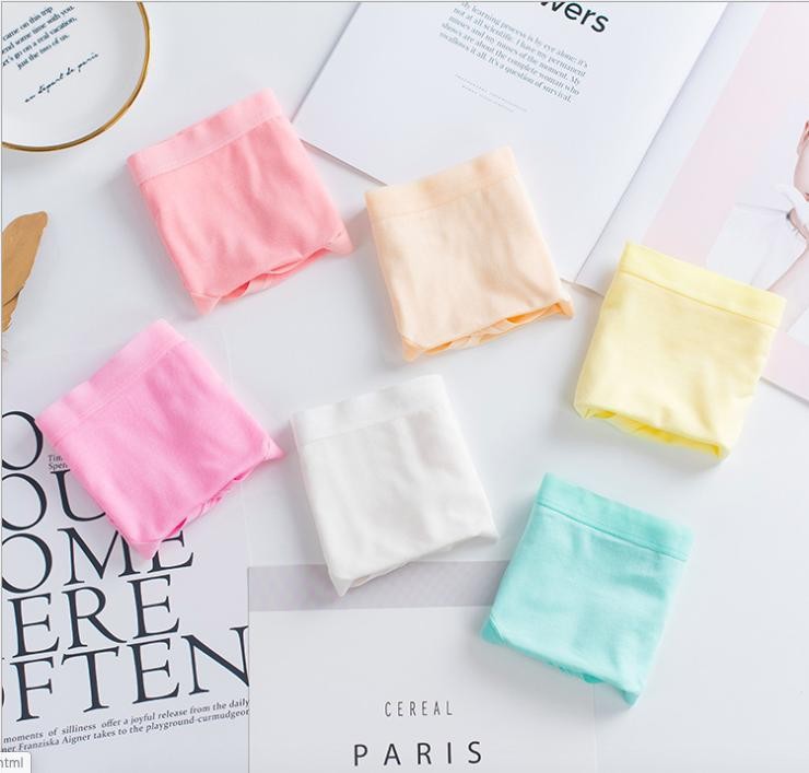 COMBO 10 Quần Lót Nữ Cotton Chất Dãn , Bền Đẹp  nhiều màu