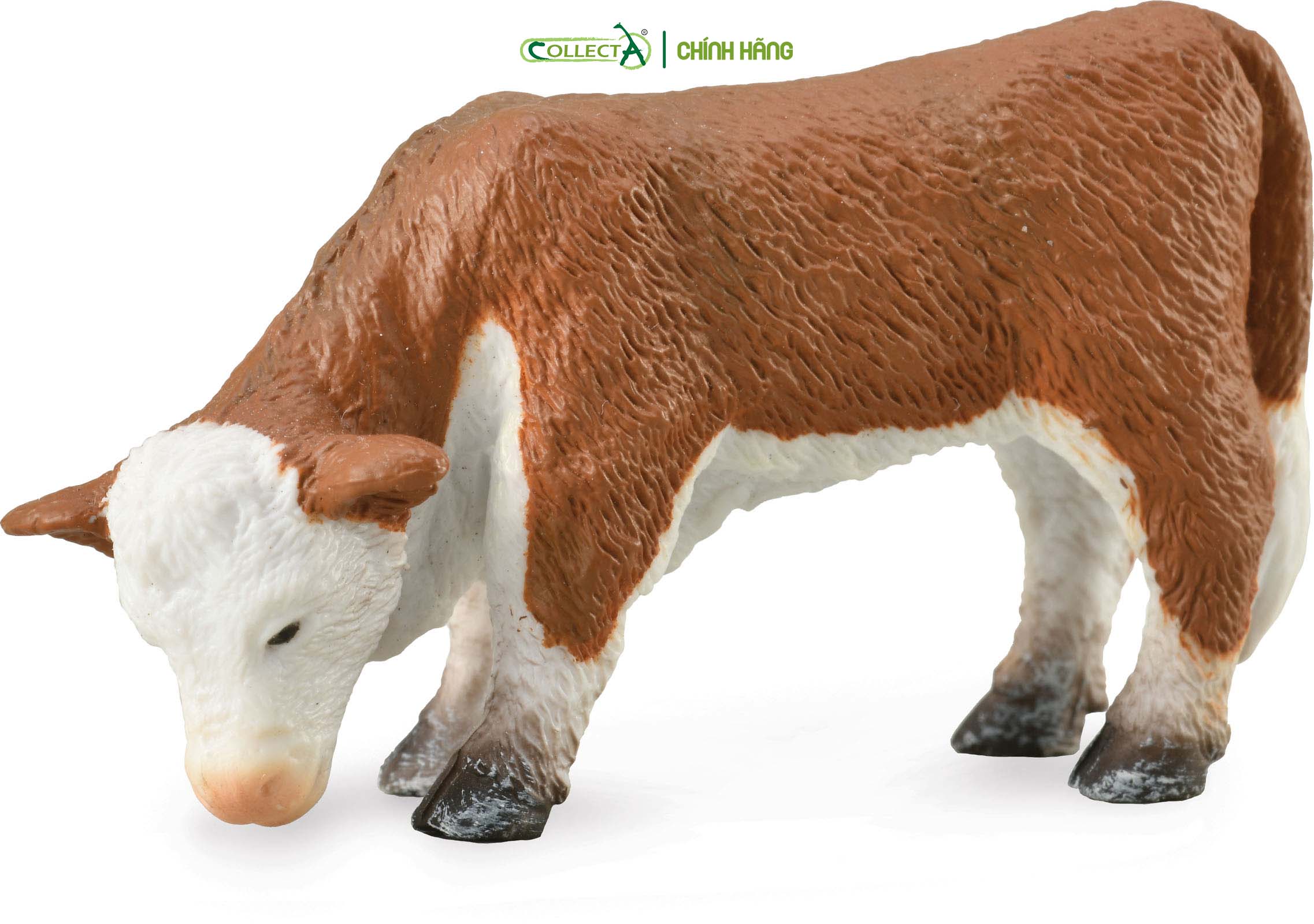 Mô hình thu nhỏ: Bò con Hereford - Gặm cỏ - Hereford Calf - Grazing, hiệu: CollectA, mã HS 9650191[88242] -  Chất liệu an toàn cho trẻ - Hàng chính hãng
