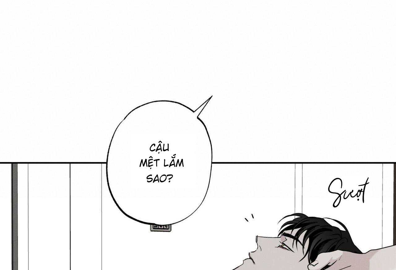 chàng giao pizza và gold palace chapter 48 83