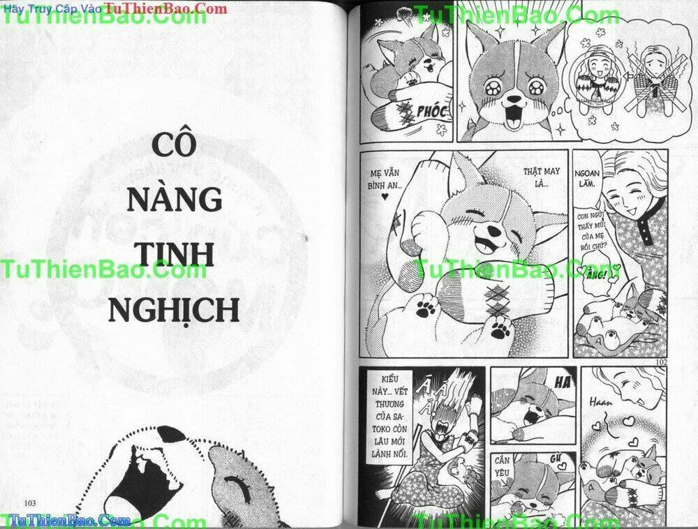 chó con mo mo chapter 4 52