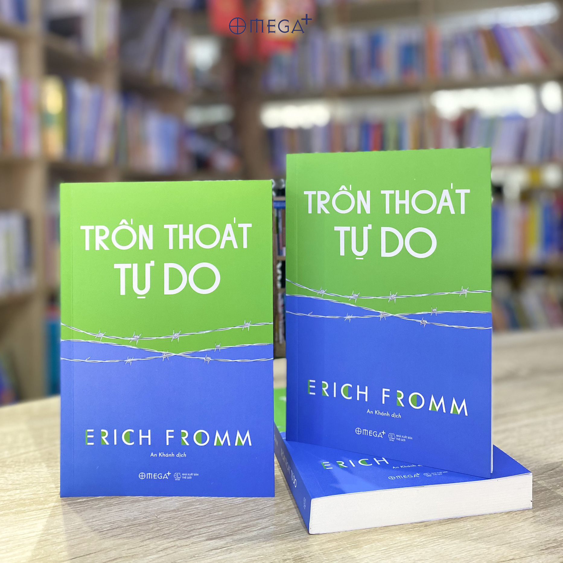 Trốn Thoát Tự Do