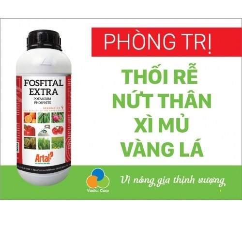 Phân bón FOSFITAL EXTRA 2 trong 1 chuyên dùng cho cây ăn trái phòng và trị nứt thân, xì mủ, thối trái