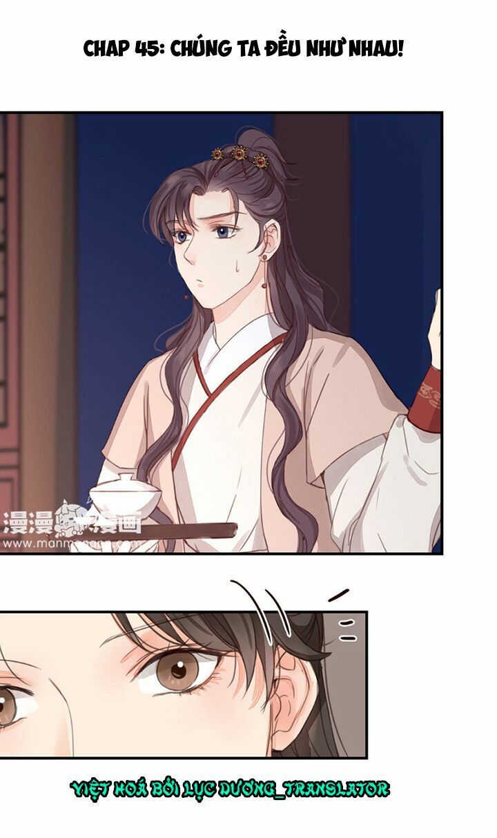 chỉ phu vi thê chapter 45 2
