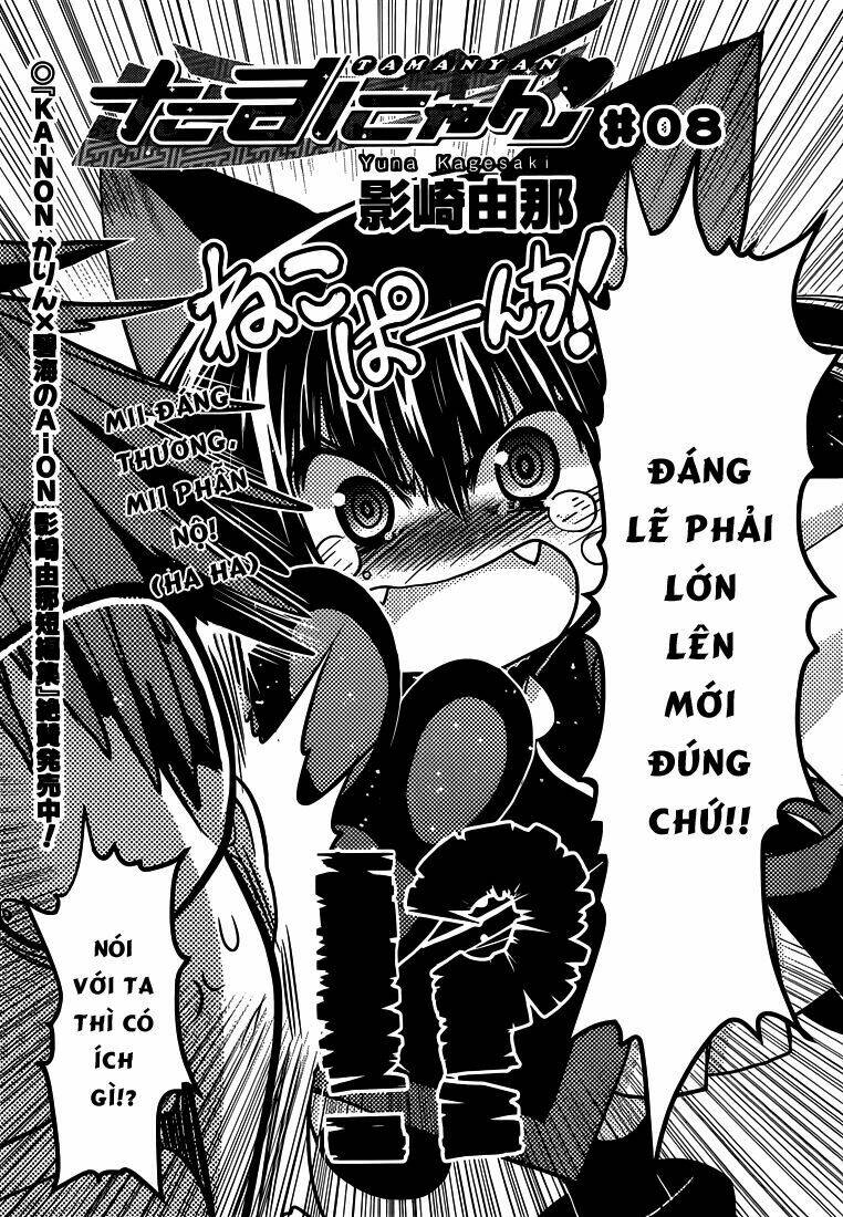 tamanyan chapter 8 2