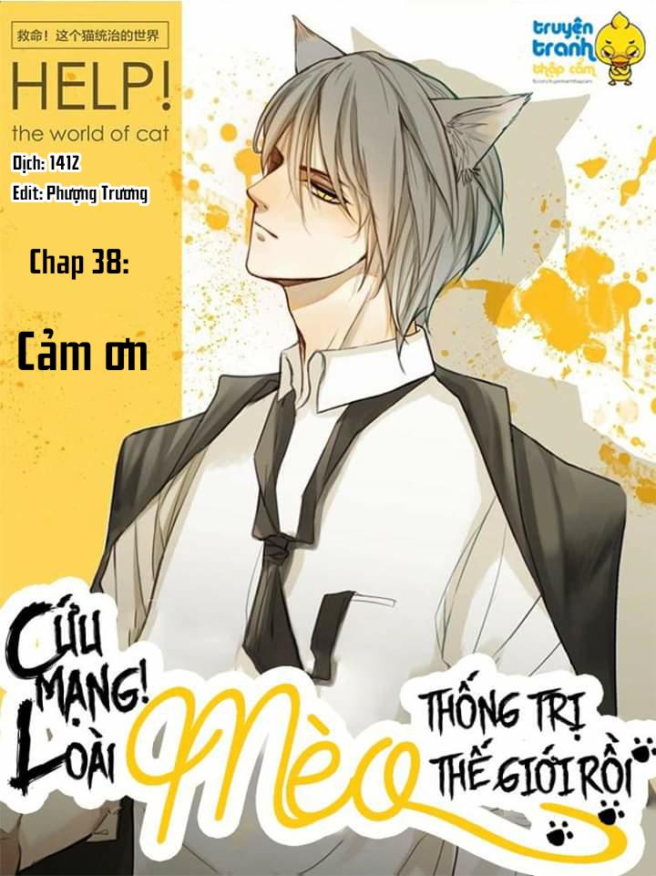cứu mạng ! loài mèo thống trị thế giới rồi ! chapter 38 1