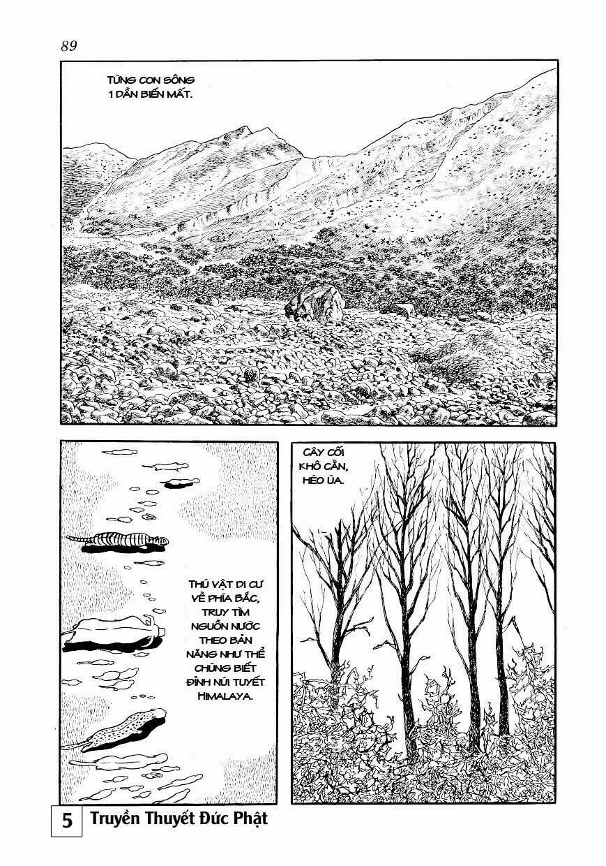 buddha - truyền thuyết đức phật chapter 24 43