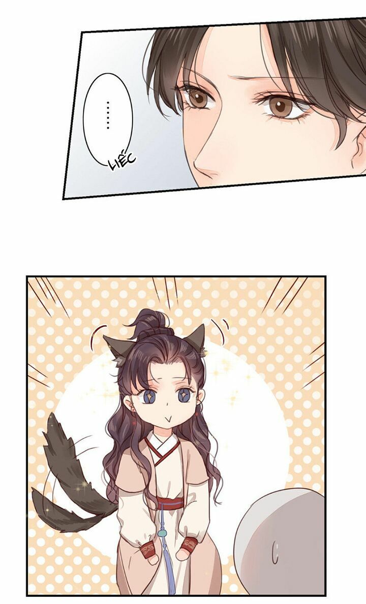 chỉ phu vi thê chapter 45 5