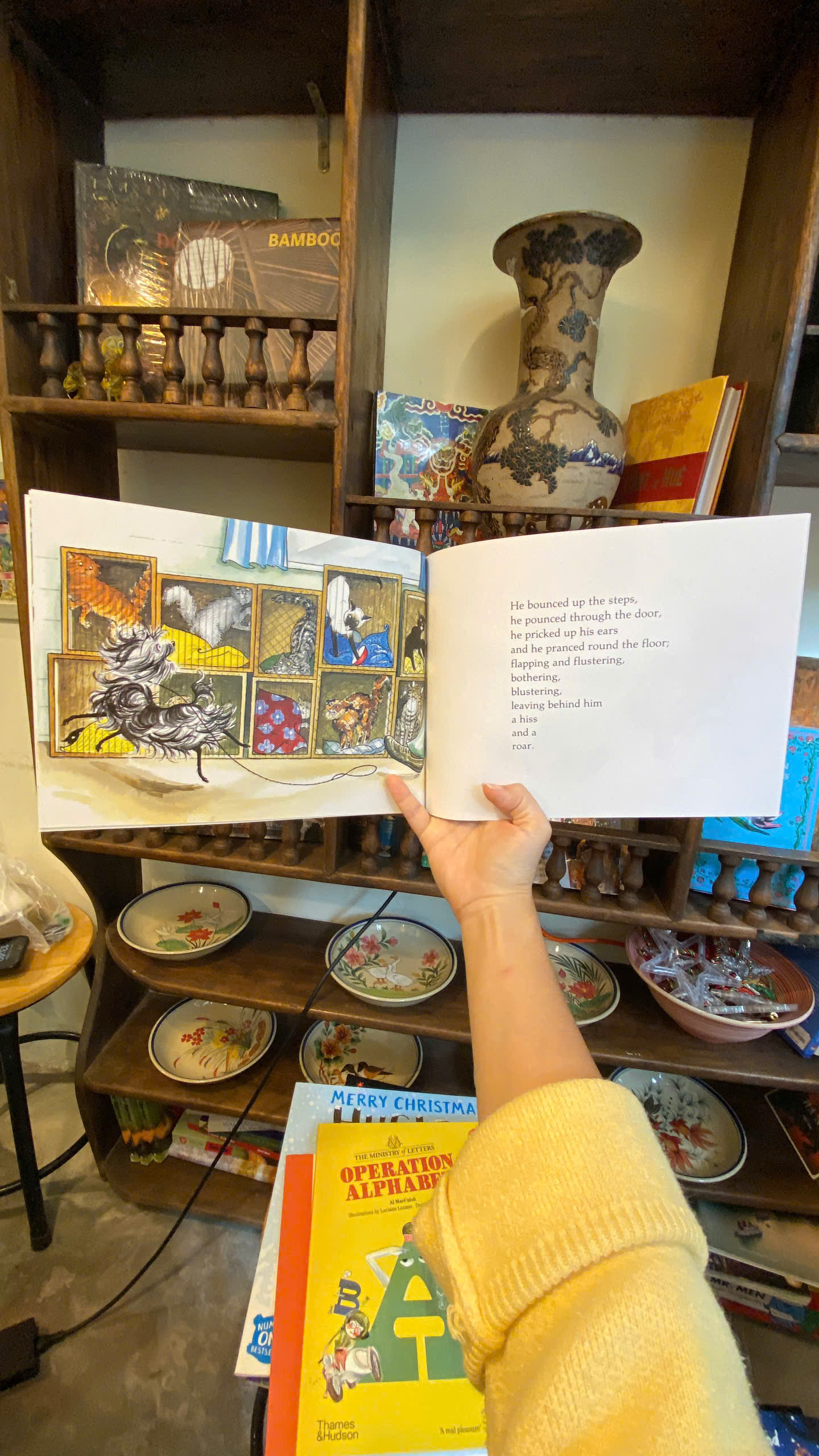 Sách - Hairy Maclary's Showbusiness by Lynley Dodd