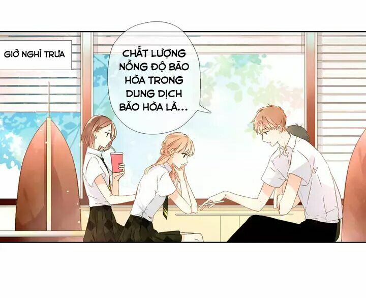 Tình yêu là màu hoa anh thảo chapter 25.2 8