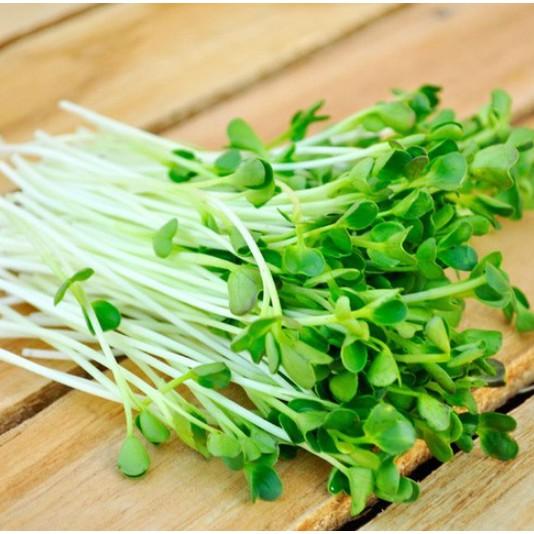 50gr hạt Mầm củ cải trắng