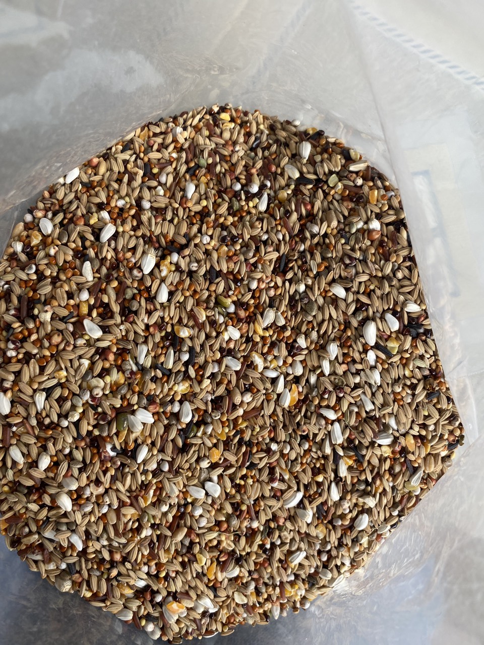 2kg hạt 15 loại ngũ cốc thiên nhiên 100% tăng cường dinh dưỡng giú chim cu cực sung