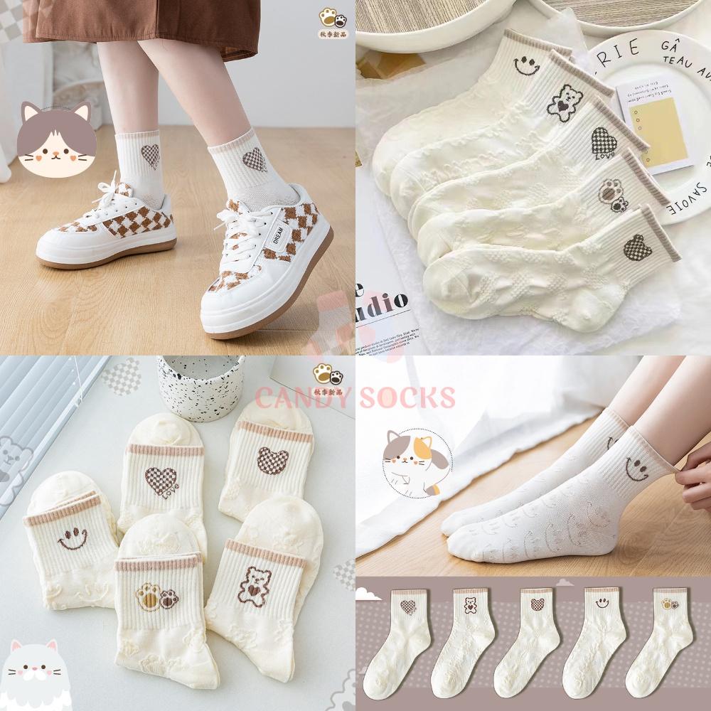 Tất nữ vớ nữ cổ trung, Set 5 đôi tất nữ phong cách Hàn Quốc, co dãn 4 chiều, chất liệu cotton Hàn cao cấp TN-229