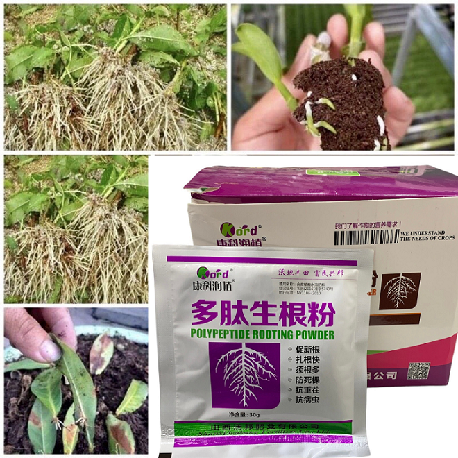 4fbf56d32965faeac7962c360c27cfc1.png
