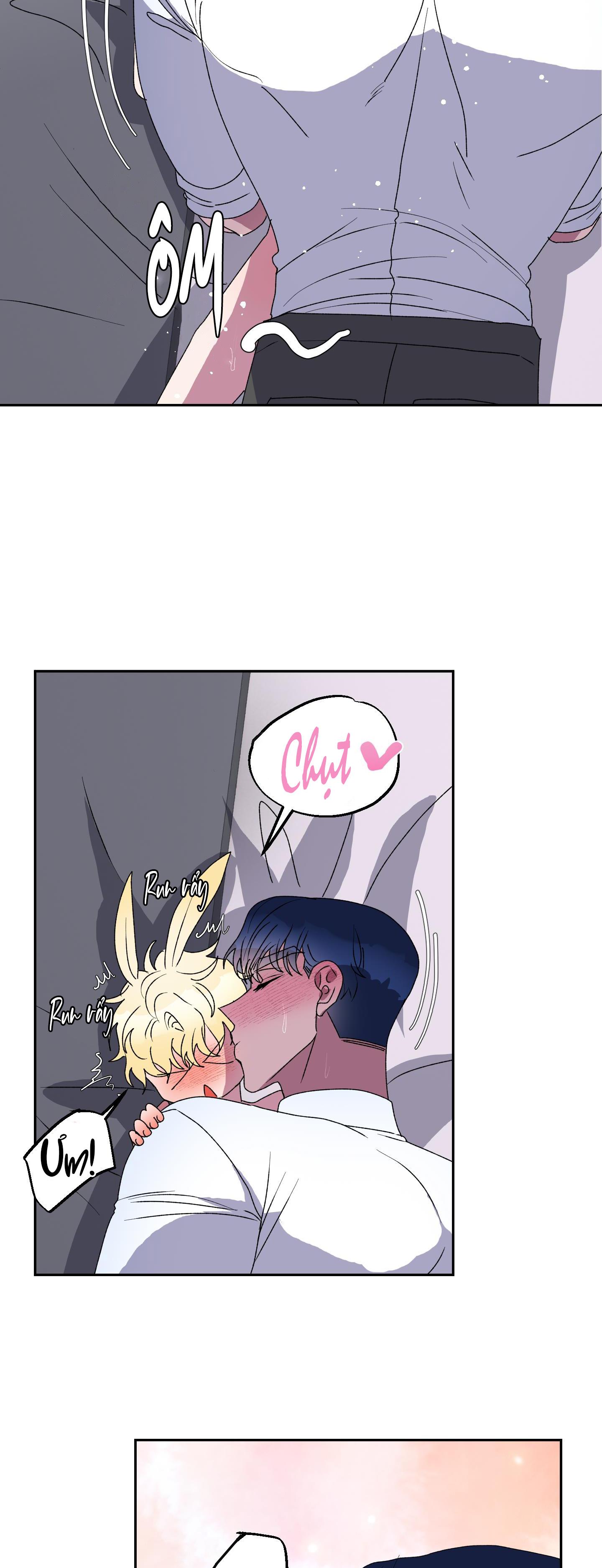 cá mập và cô dâu thỏ chapter 12 22