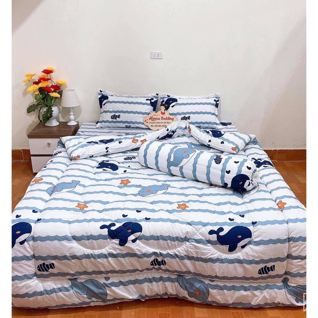 TRỌN BỘ GA GỐI COTTON POLY ĐỦ MÀU SẮC, KÍCH THƯỚC, TRANG TRÍ PHÒNG NGỦ LỘNG LẪY-MẪU CÁ HEO