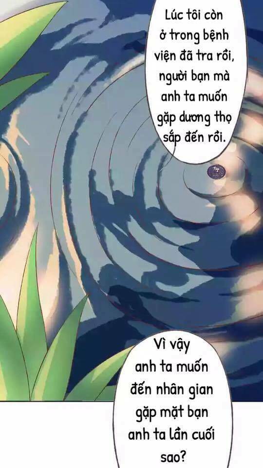 tôi không phải đa nhân cách chapter 26 45