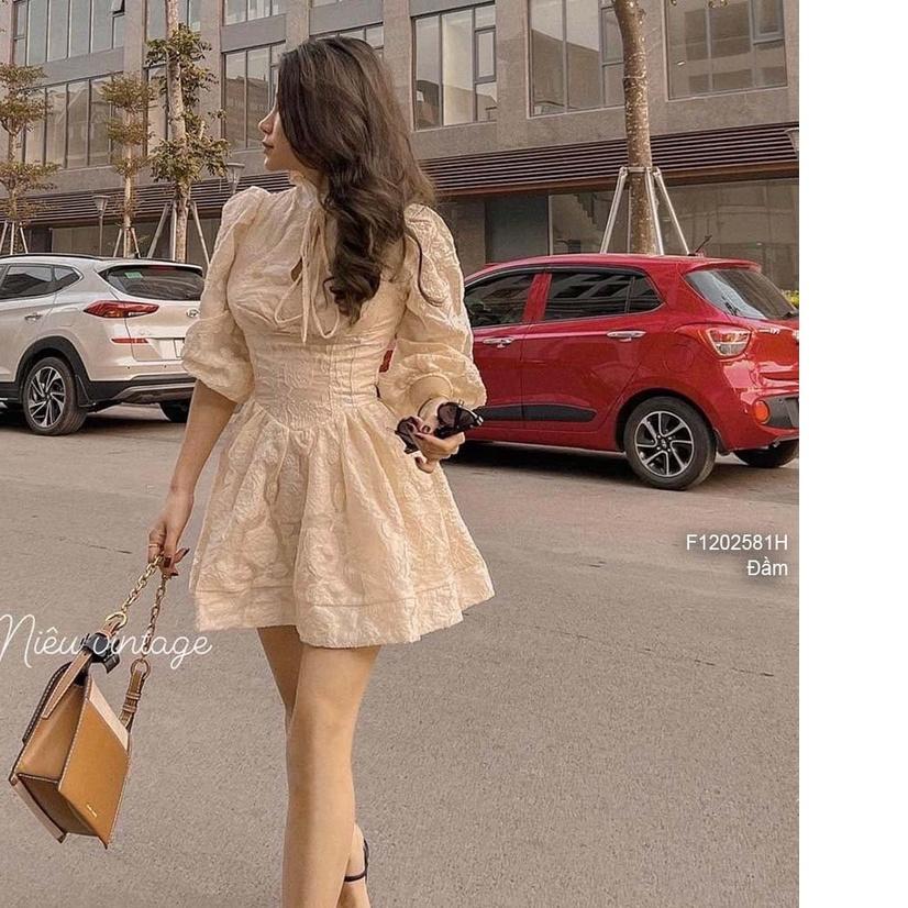 Đầm xòe ren nổi cổ thắt nơ cực xinh!
