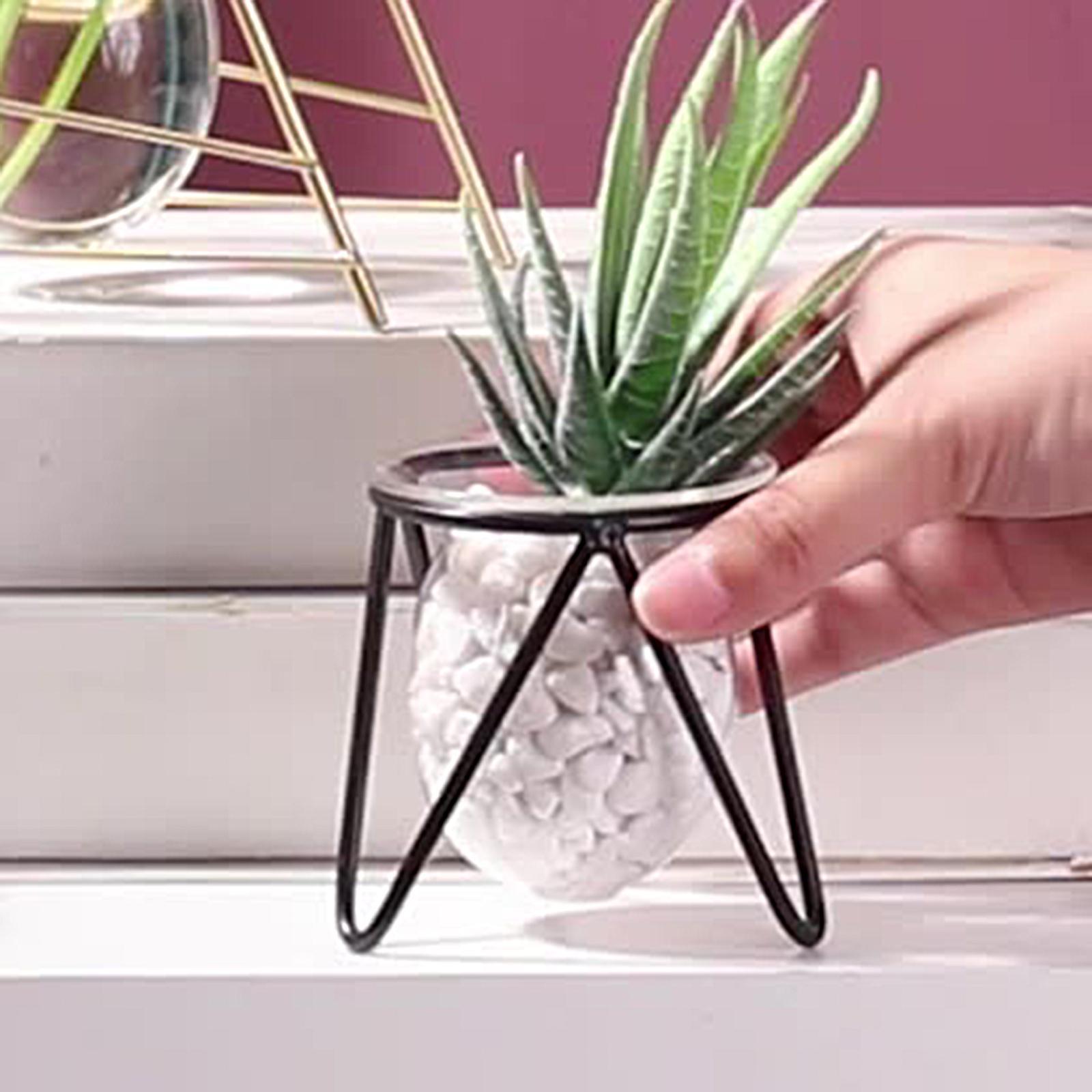 Plant Iron Line Flower Vase  Ornament Home Art Desktop