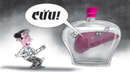 Kết quả hình ảnh cho cứu gan