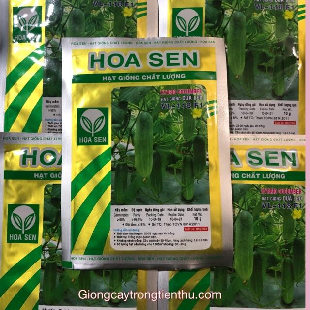 HẠT GIỐNG DƯA LEO VL-118 F1