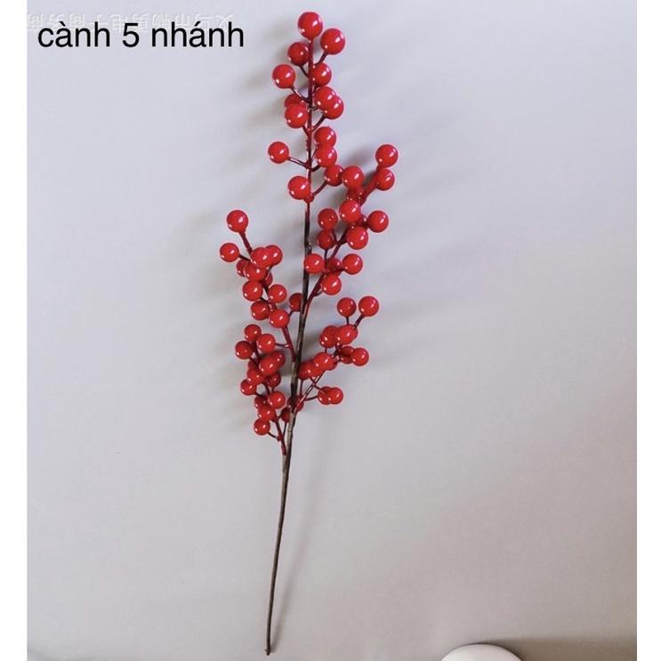 Cành đào đông đỏ