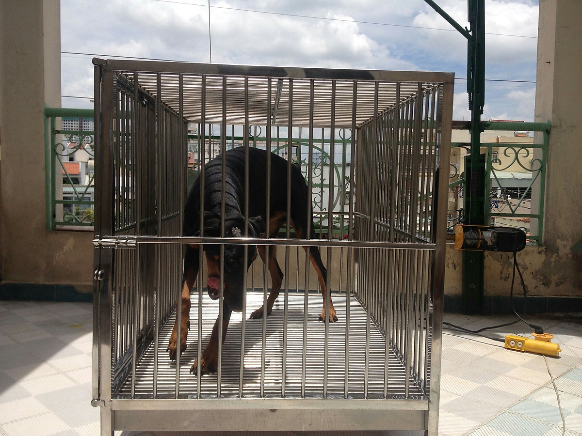Chuồng chó Inox Juno Sofa KT(60 x 1m x 70cm) có mái che