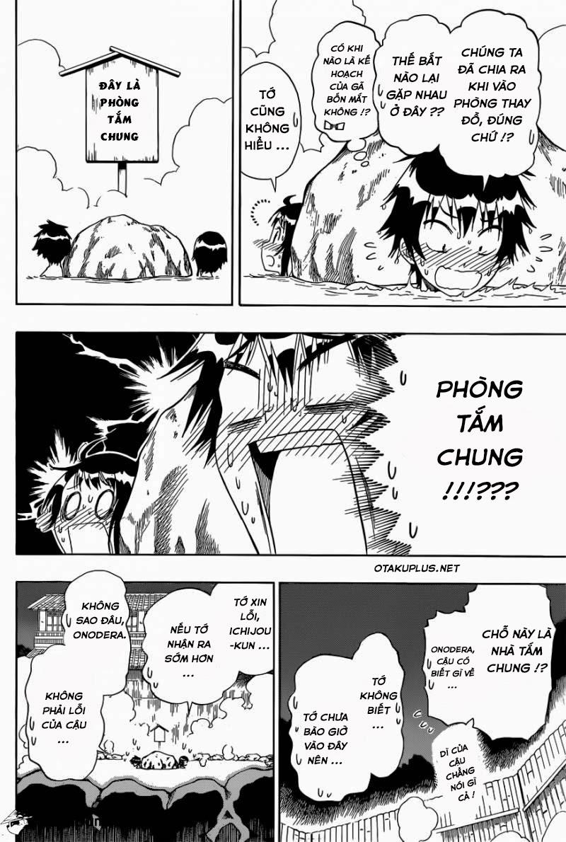 nisekoi - tình yêu giả tạo chapter 144 8