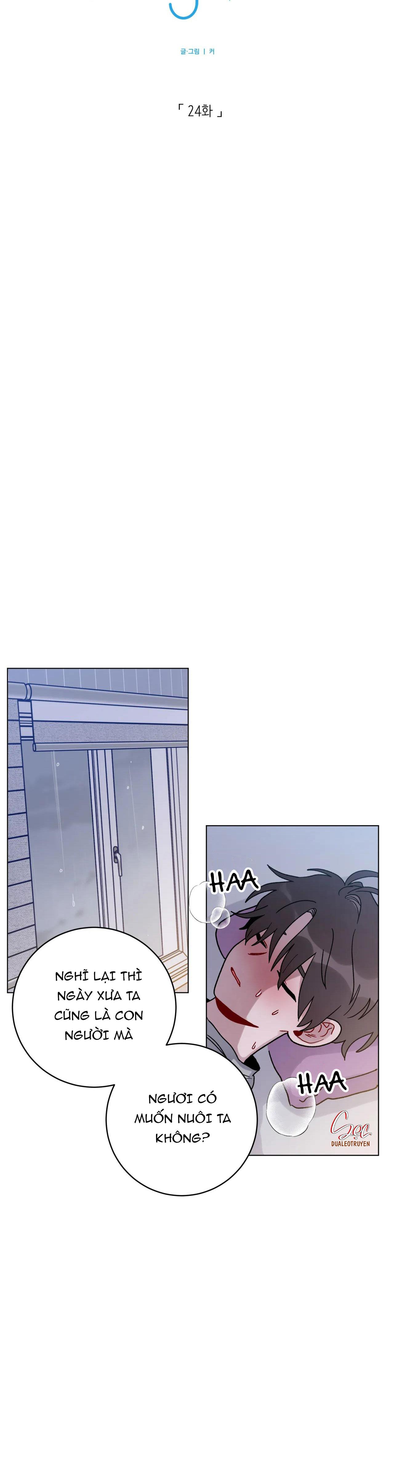 cơn mưa rào mùa hạ chapter 24 12