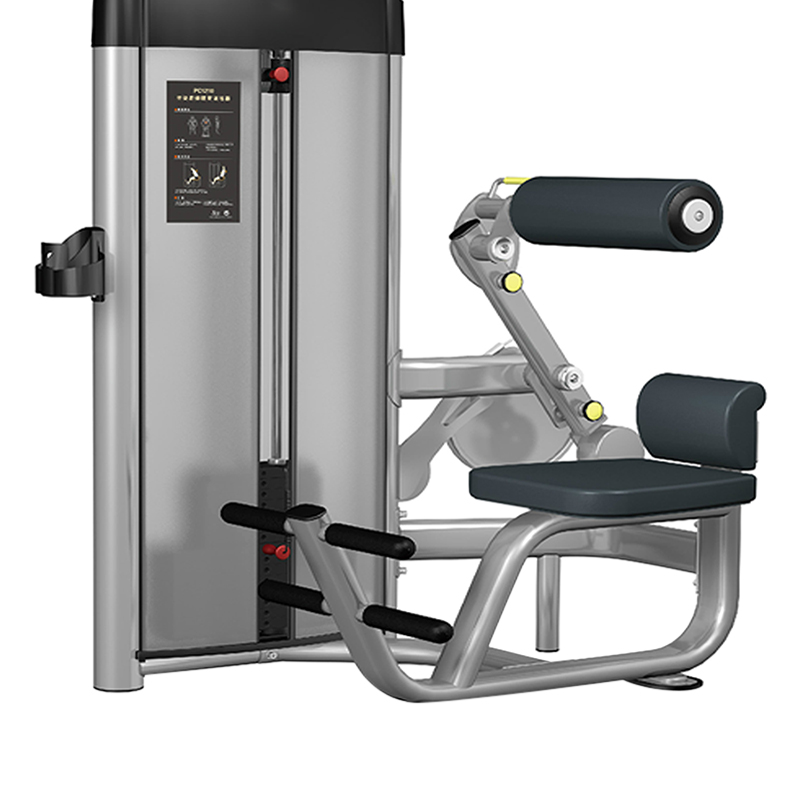 Máy tập lưng dưới Gym TigerSport TGP-370