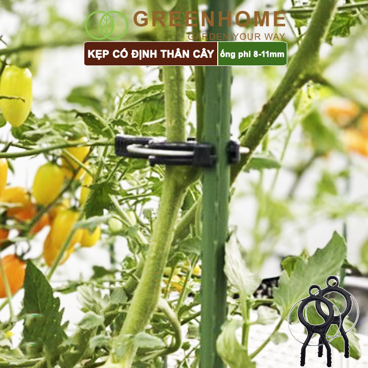 Kẹp cố định thân cây nhật bản, daim, Greenhome đỡ hoa, trái, tiện lợi, độ bền 5 năm