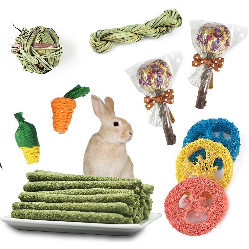 14x Hamster Molar Toys Wooden Rabbit Chew Toys for Rats Teeth Grinding