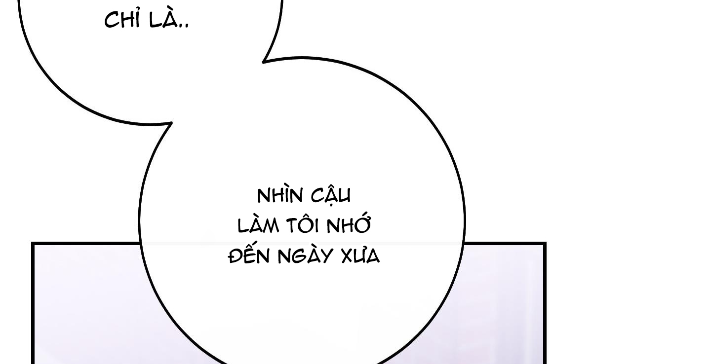 lãng mạn giả dối chapter 10 253