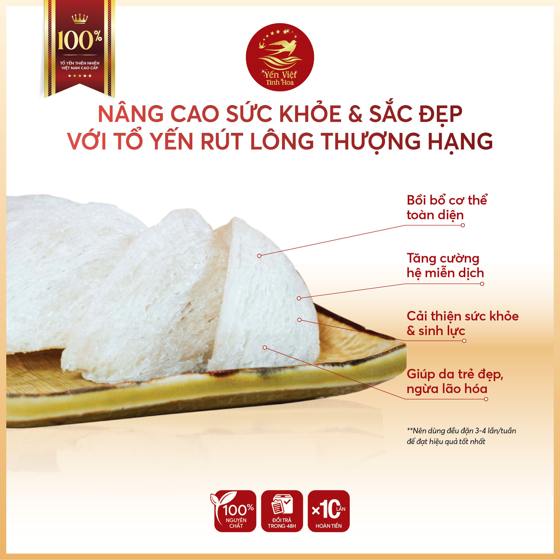 Tổ yến rút lông thượng hạng 100 gram Yến Việt Tinh Hoa  - Hàng chính hãng