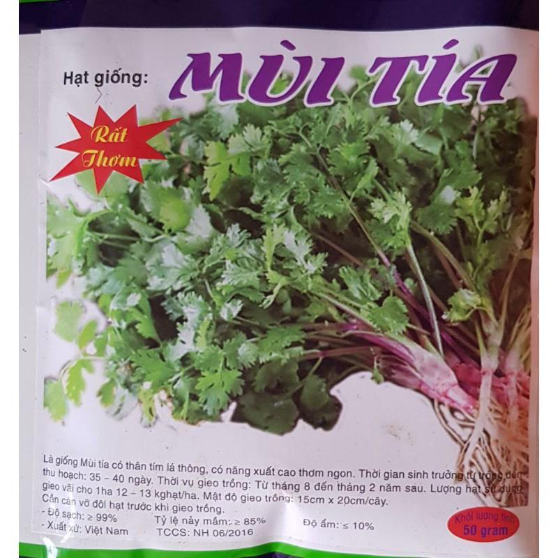 Hạt giống mùi chịu nhiệt 20g