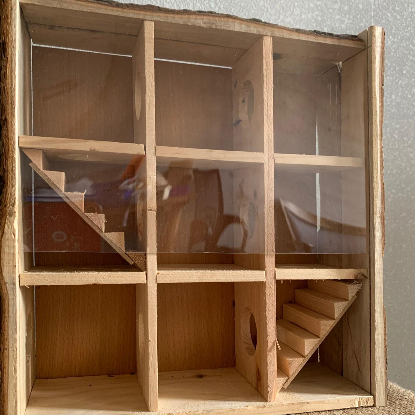 Đồ chơi bằng gỗ tự nhiên cho Hamster