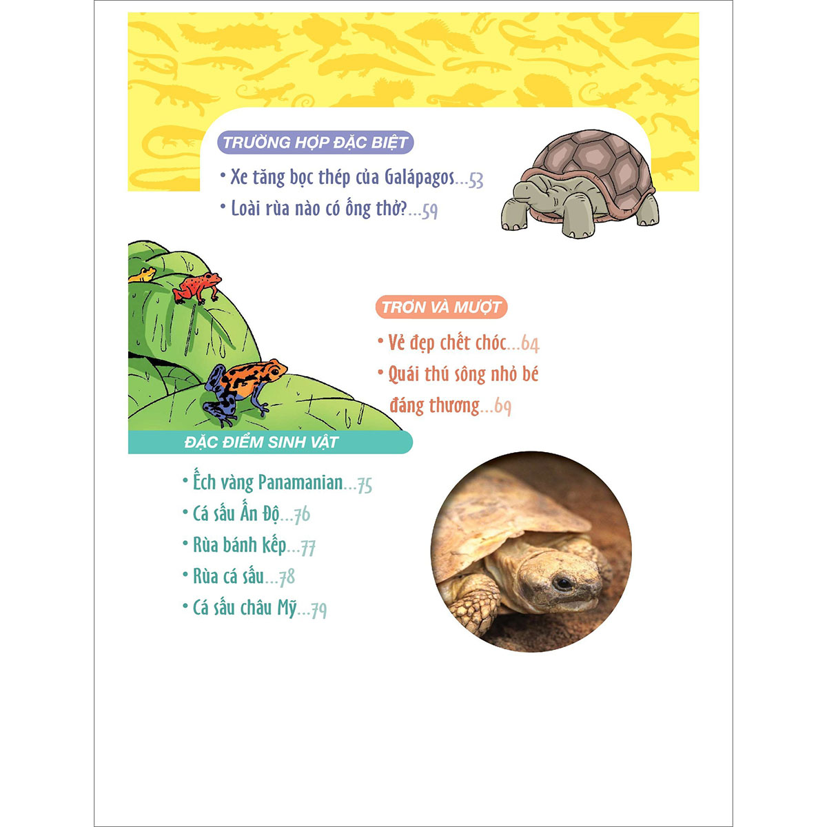 World Of Science - Những Bí Ẩn Về Bò Sát Và Lưỡng Cư