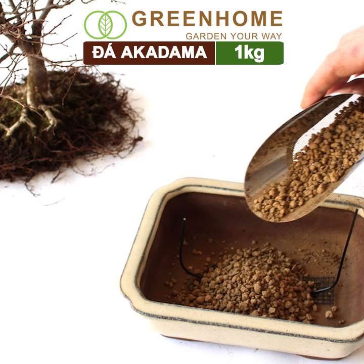 Đá Akadama, bao 1kg, loại siêu cứng, size S, cho thủy sinh, bonsai, sen đá |Greenhome