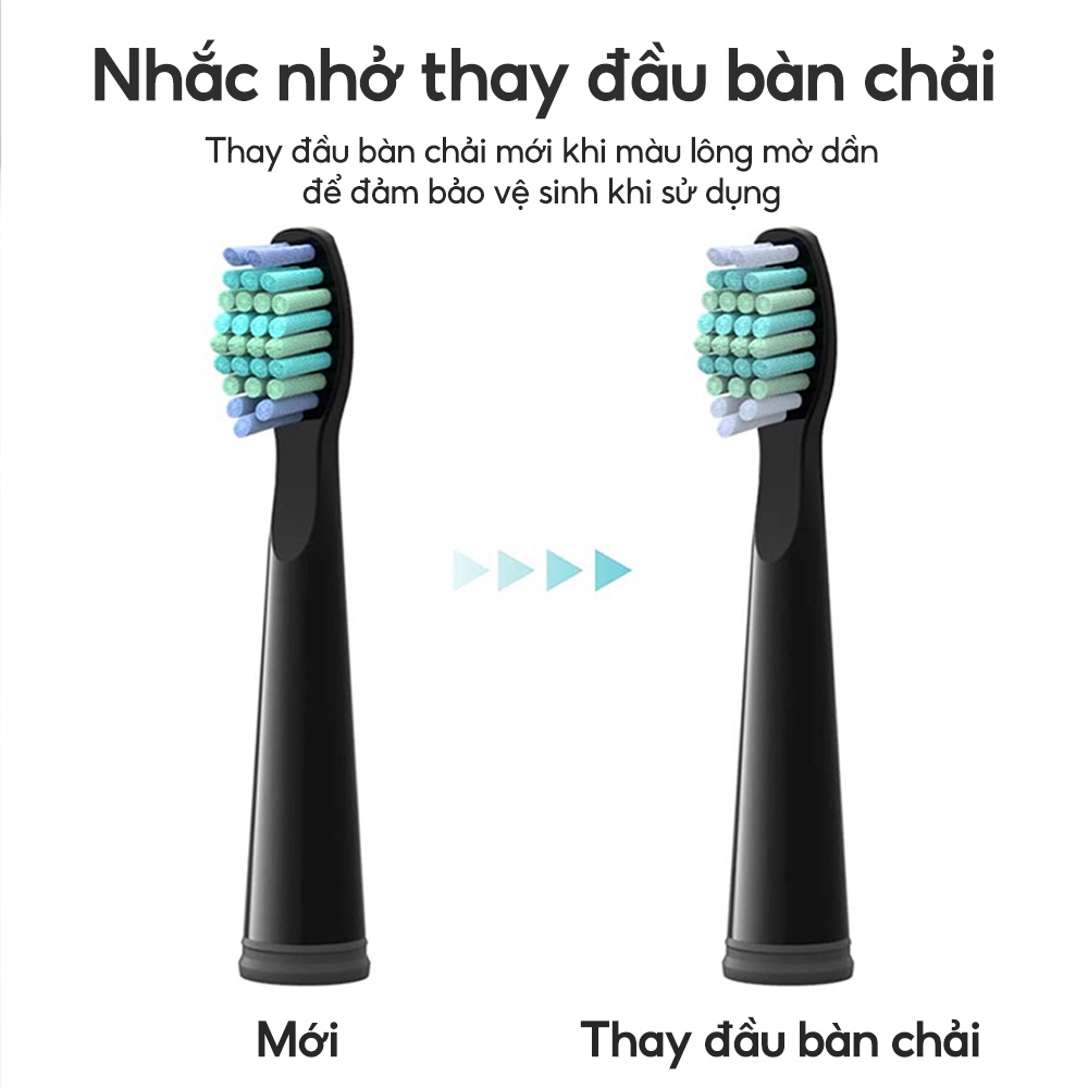 Bàn chải đánh răng điện Fairywill 507 kèm 8 đầu thay thế - Hàng chính hãng