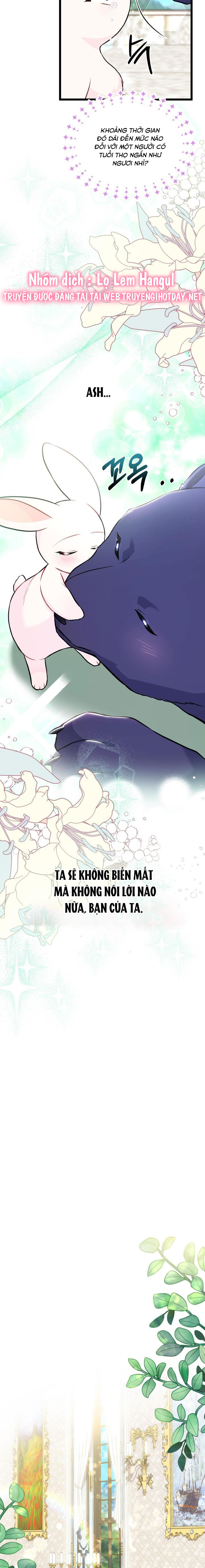 mối liên kết giữa báo đen và bé thỏ chapter 134 19