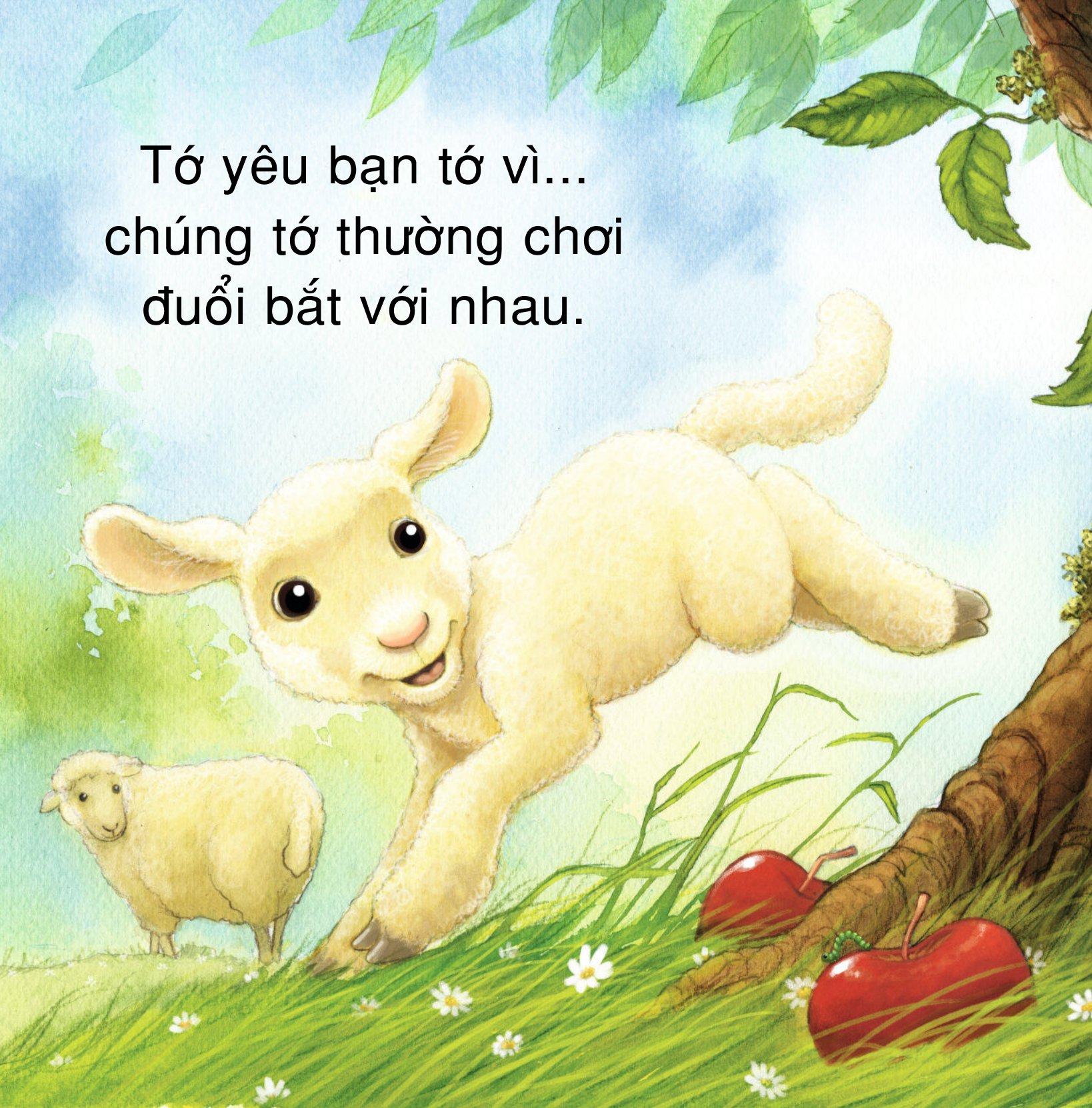 Những Lời Yêu Thương Dành Tặng Bạn Bè - Vì Sao Tớ Yêu Bạn Bè