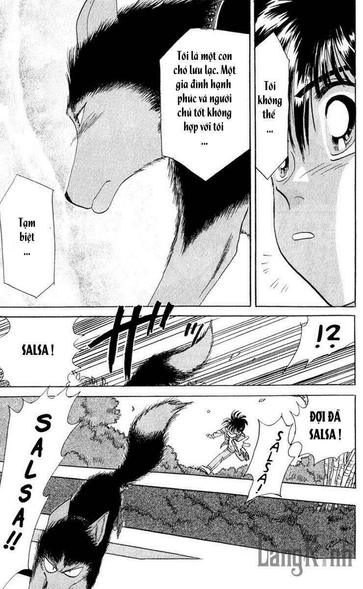 wild half chapter 1 51