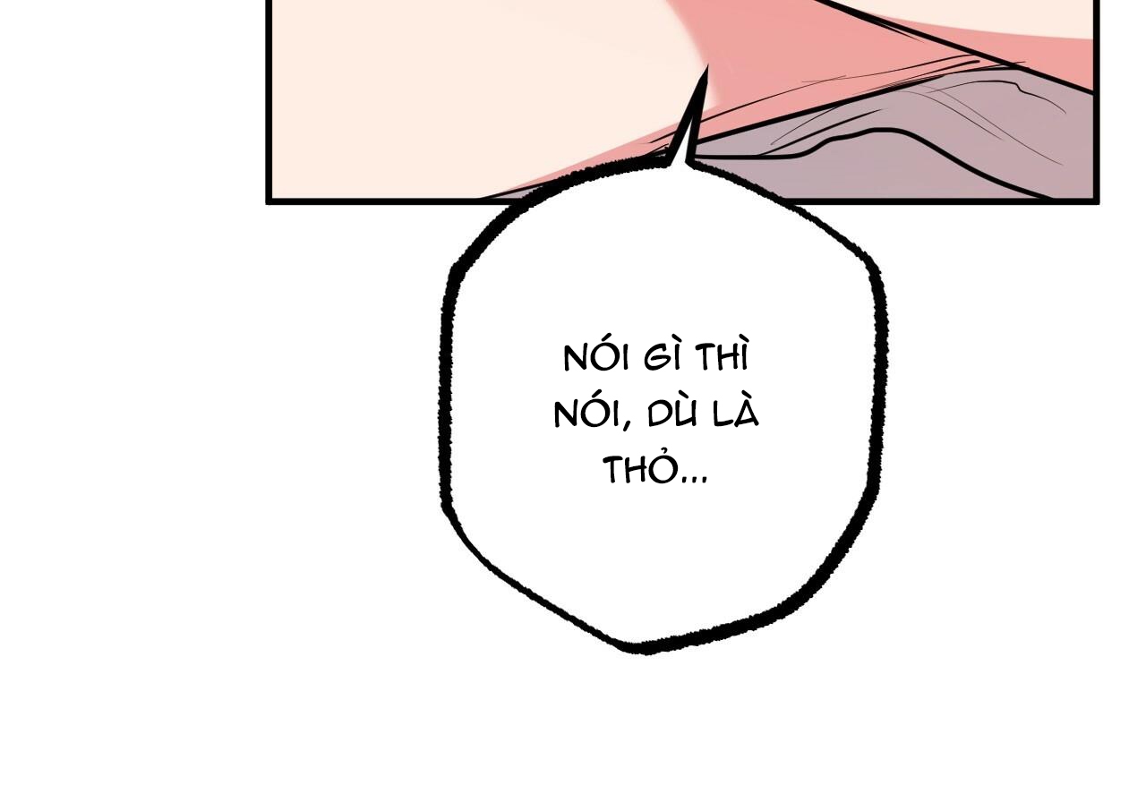 đàn thỏ của habibi chapter 29 12