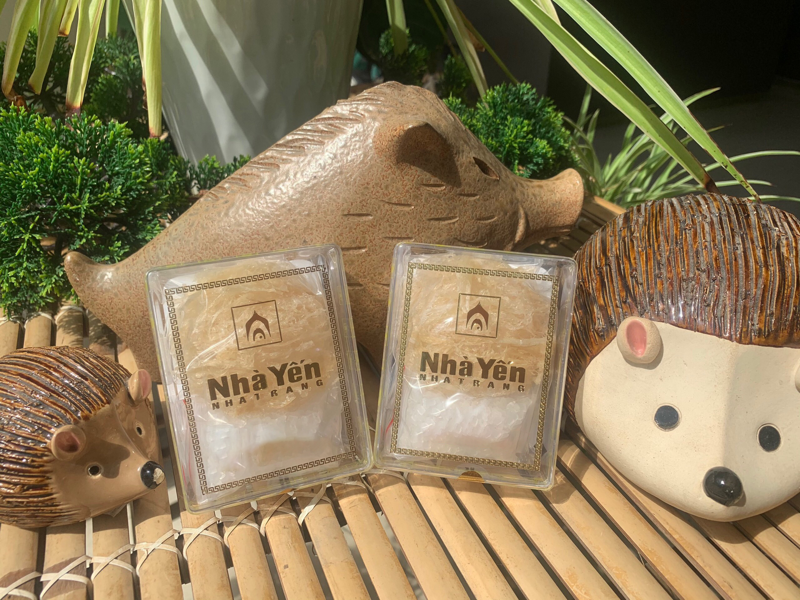 Tổ Yến Hồng Tinh Chế - Hộp 10 Gram - Loại Chất Lượng 6.5 - Tổ Yến Sào Tinh Chế - Yến Tinh Chế - Nhà Yến Nha Trang - Đặc Sản Nha Trang - Yến Sào Chất Lượng