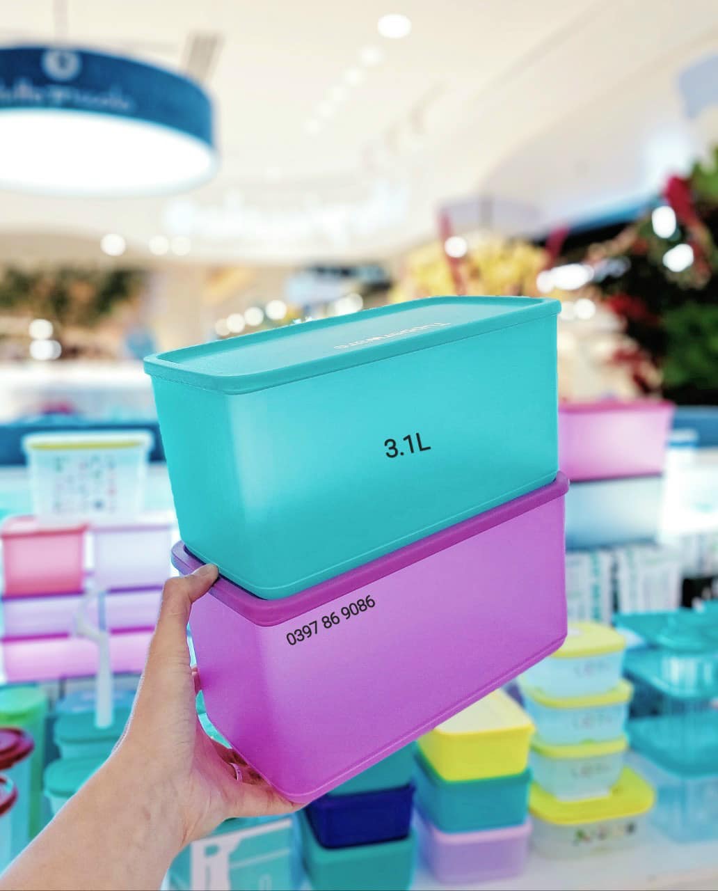 Set 2 hộp BQTP Tupperware Funtastic 3.1L